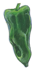 Long, lime green Anaheim chilies are usually mild (sweet), so they're a perfect replacement for green peppers in salads. Since they have a thick skin, they can also be roasted, peeled, and added to recipes.